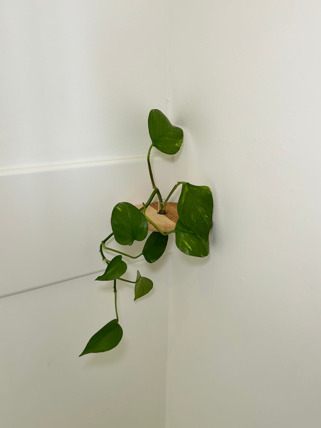 Rinco Corner Planter & Shelf – Decorate Overlooked Wall Corner