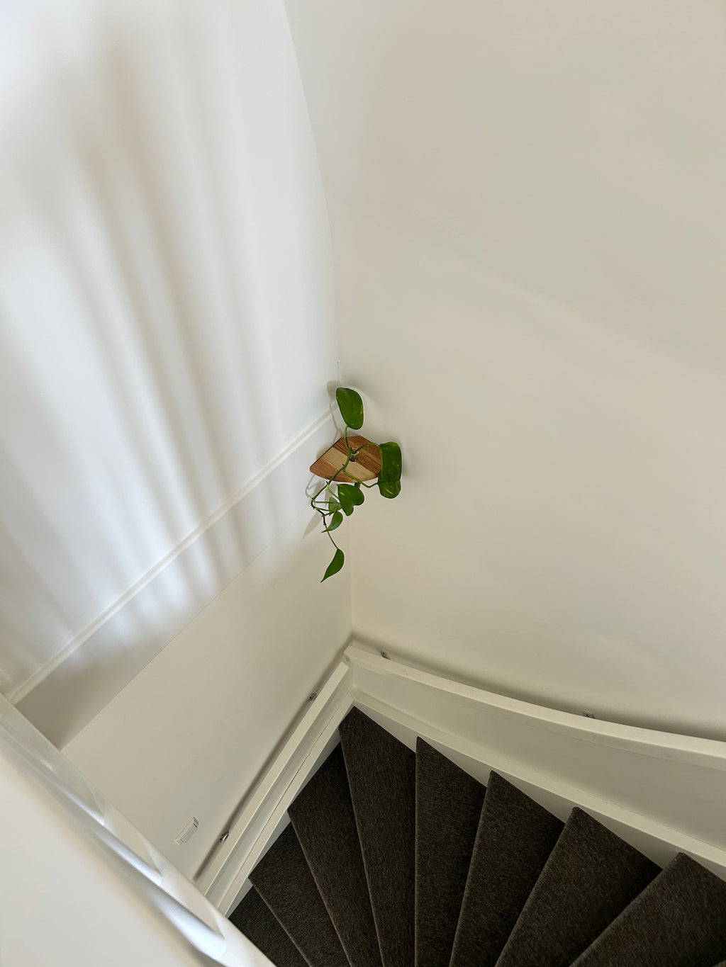 Rinco Corner Planter & Shelf – Decorate Overlooked Wall Corner