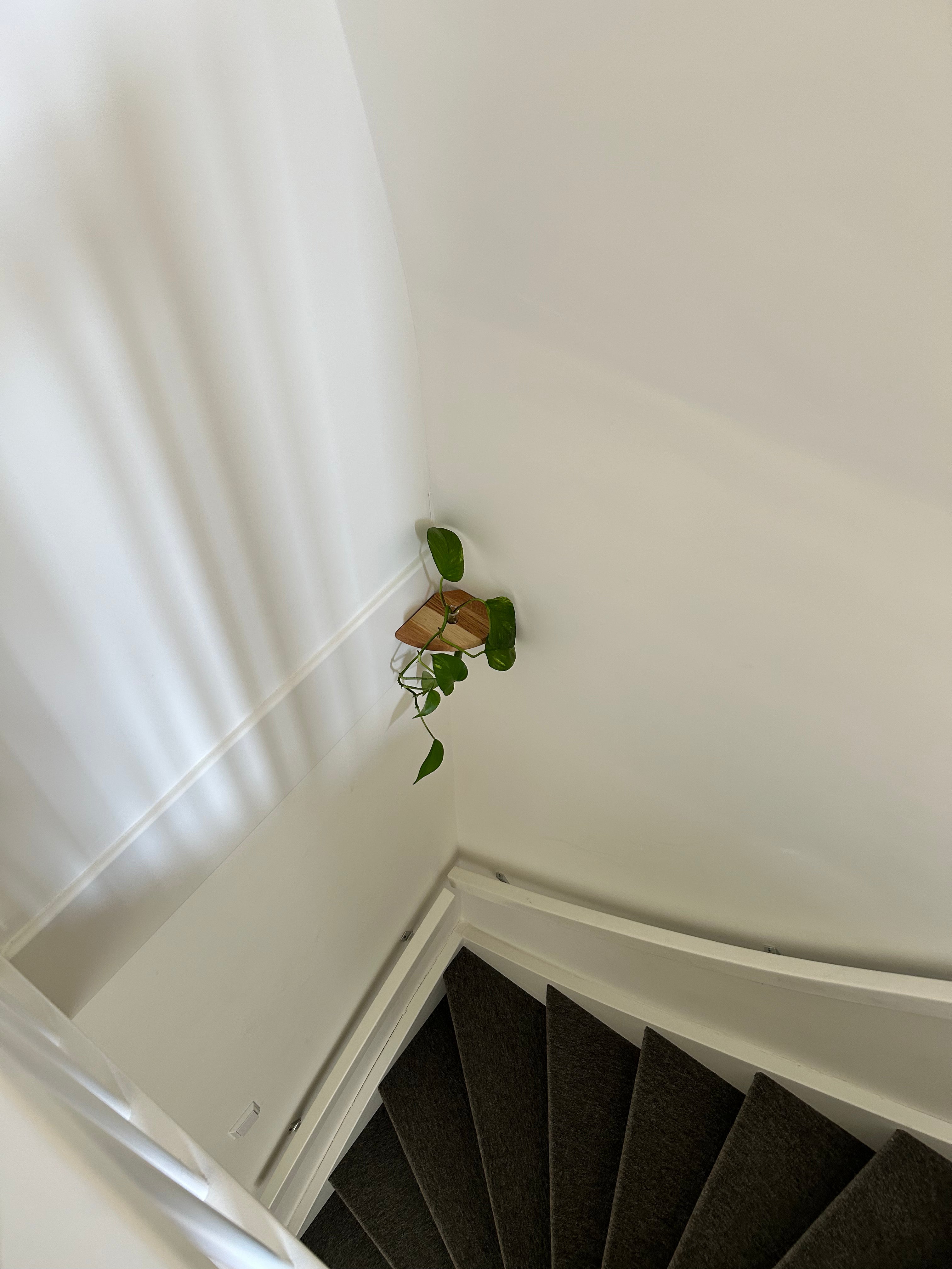 Rinco Corner Planter & Shelf – Decorate Overlooked Wall Corner