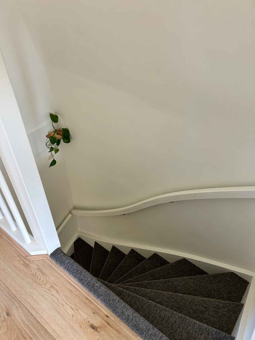 Rinco Corner Planter & Shelf – Decorate Overlooked Wall Corner