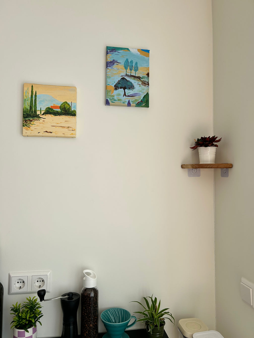 Rinco Corner Planter & Shelf – Decorate Overlooked Wall Corner
