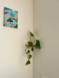 Rinco Corner Planter & Shelf – Decorate Overlooked Wall Corner