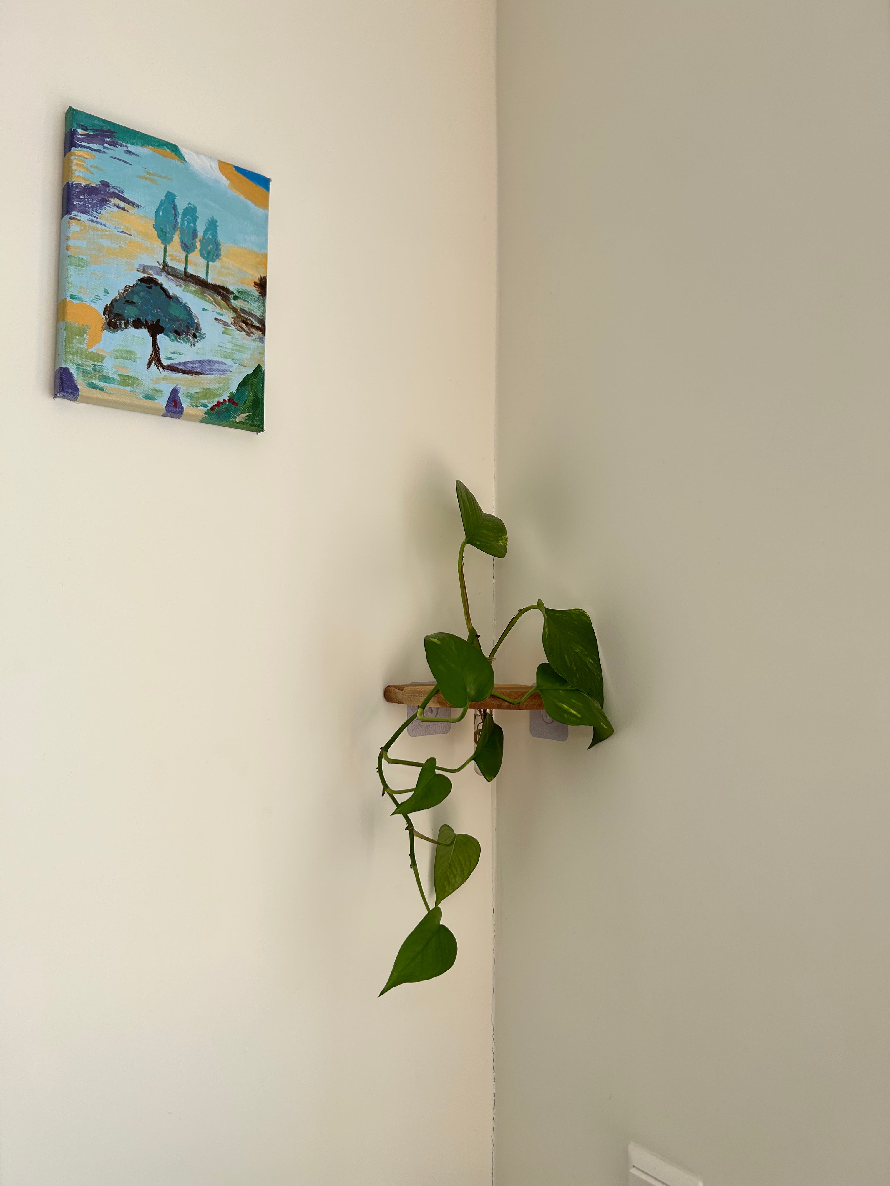 Rinco Corner Planter & Shelf – Decorate Overlooked Wall Corner