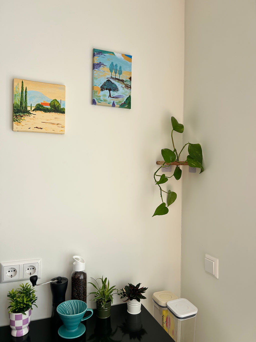 Rinco Corner Planter & Shelf – Decorate Overlooked Wall Corner