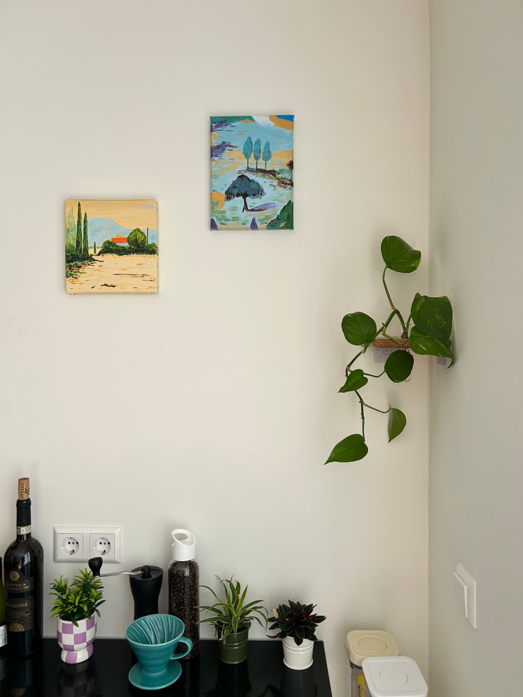 Rinco Corner Planter & Shelf – Decorate Overlooked Wall Corner