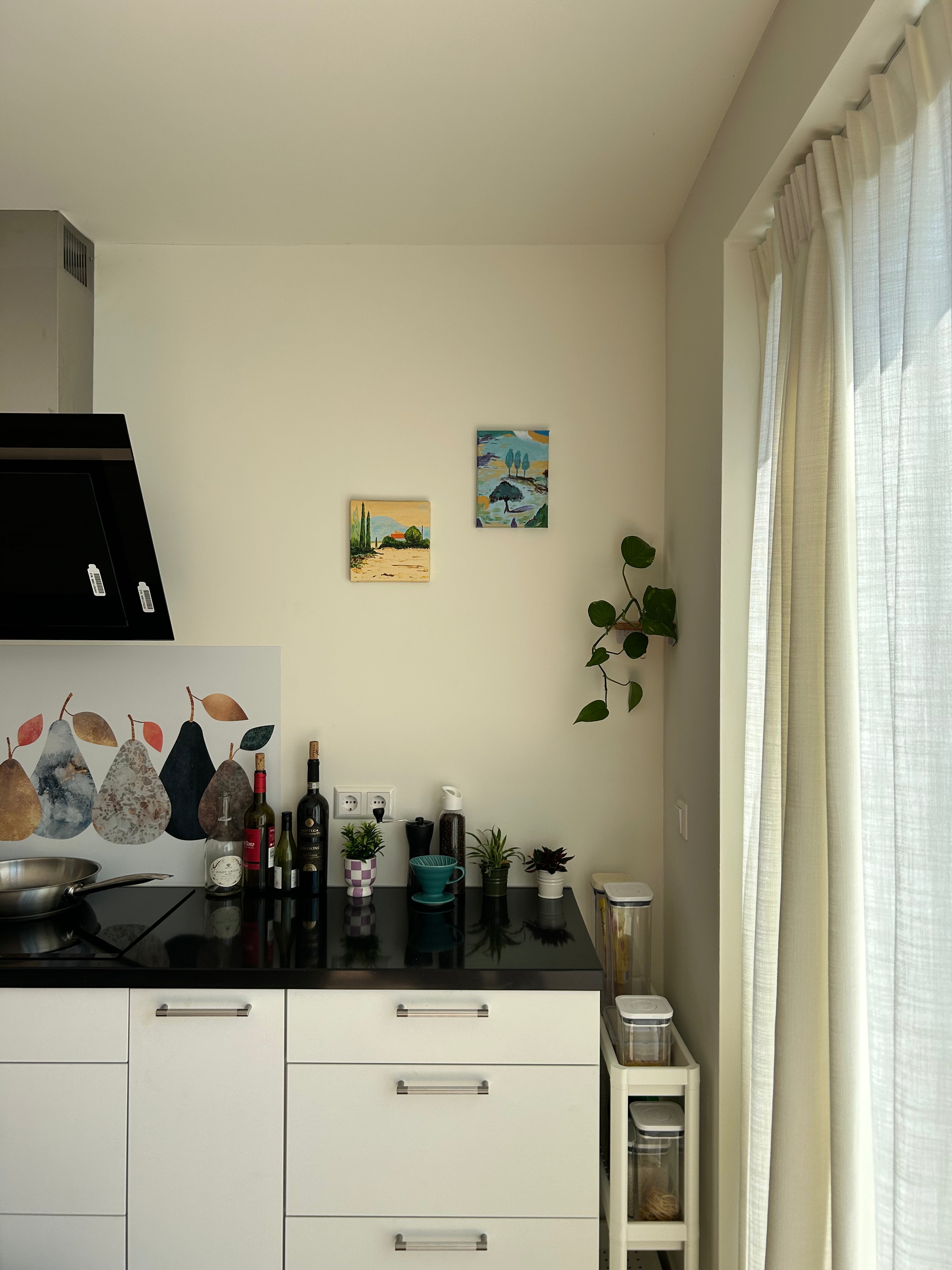 Rinco Corner Planter & Shelf – Decorate Overlooked Wall Corner