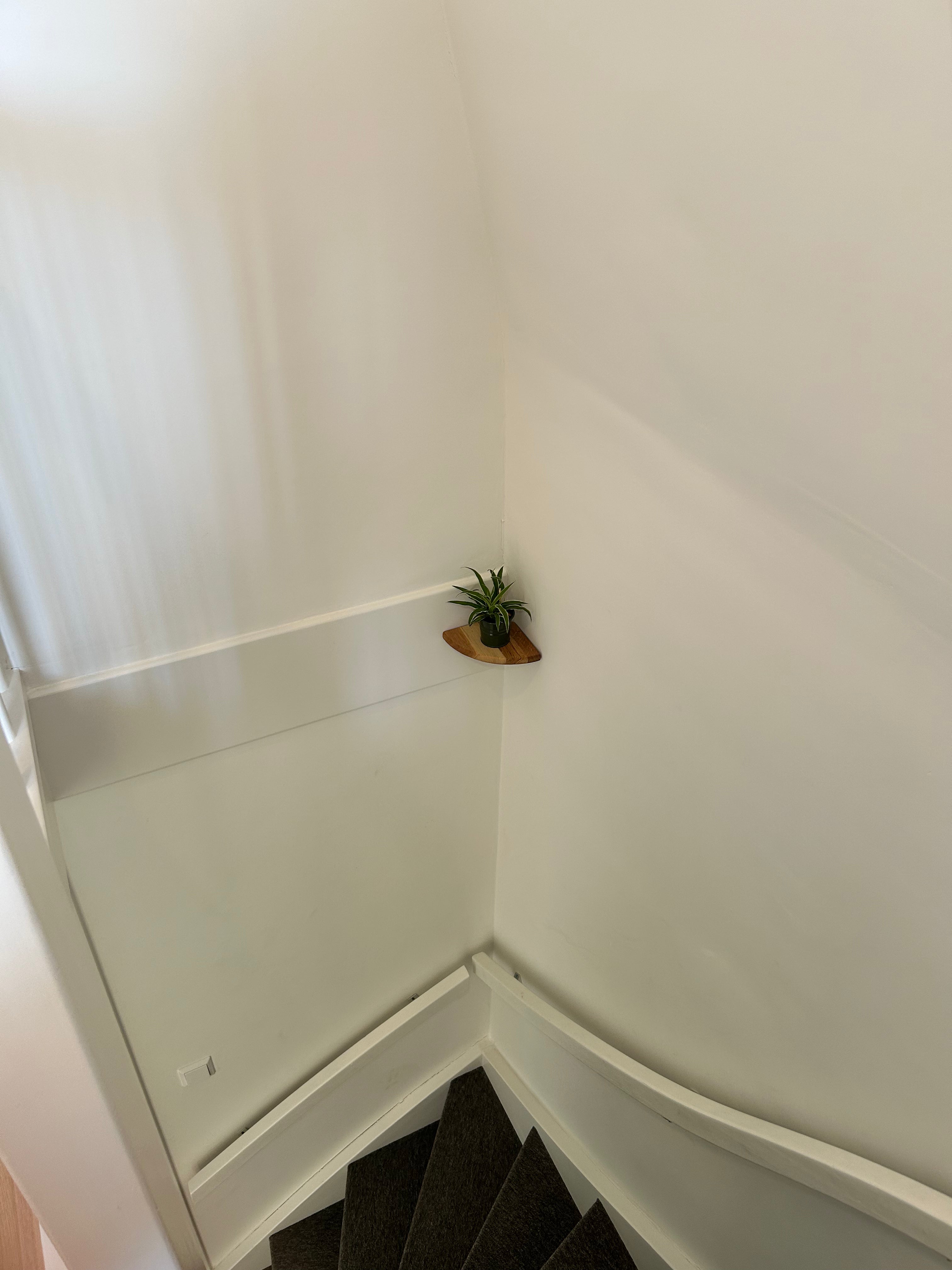 Rinco Corner Planter & Shelf – Decorate Overlooked Wall Corner