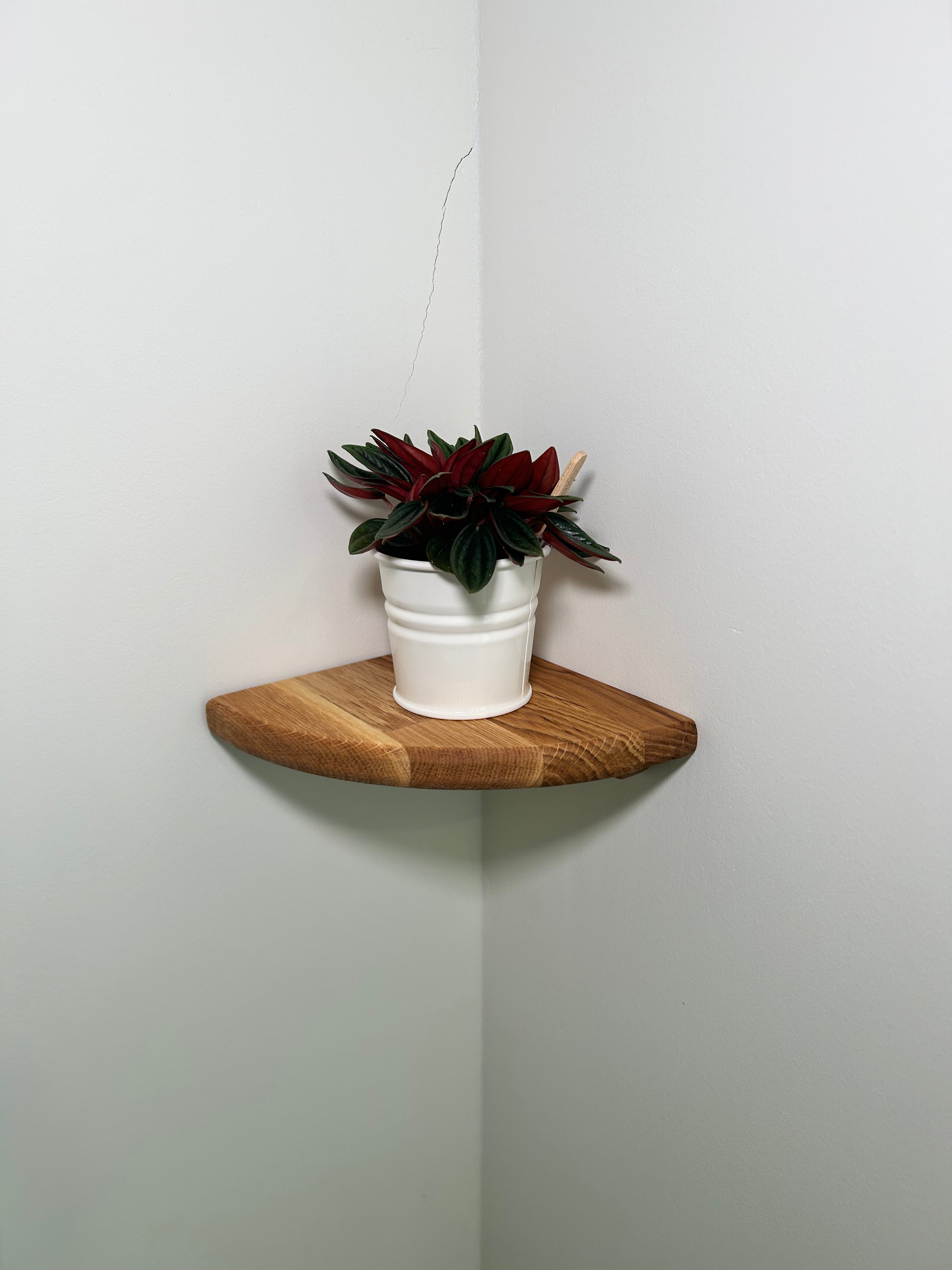 Rinco Corner Planter & Shelf – Decorate Overlooked Wall Corner
